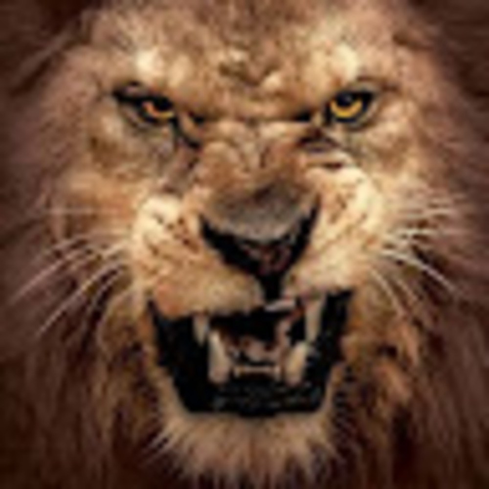 Meet your Posher, Skar